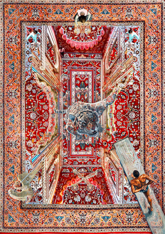 SHOULD I FALL OR SHOULD I FLY